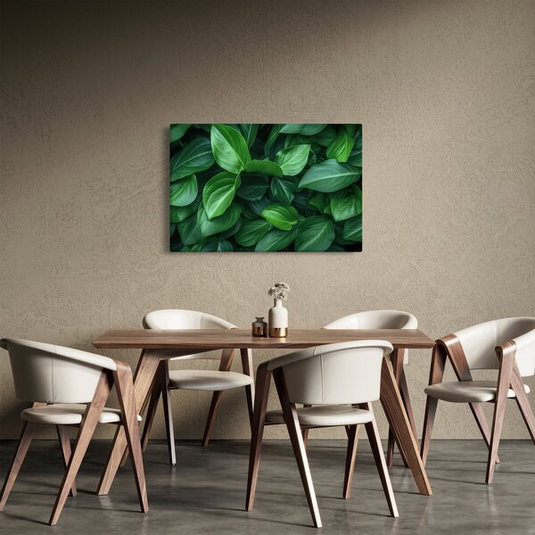 Obraz - Zelené listy (90x60 cm)