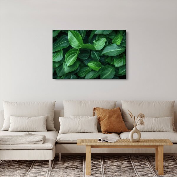 Obraz - Zelené listy (90x60 cm)