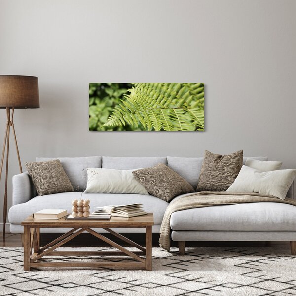 Obraz - Papradinový list (120x50 cm)