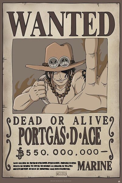 Plagát, Obraz - One Piece - Wanted Ace