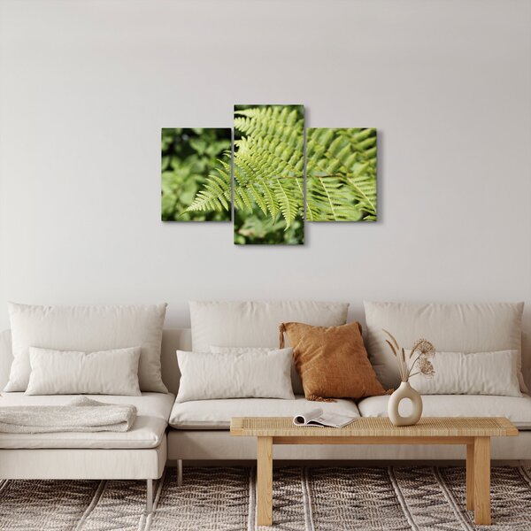 Obraz - Papradinový list (90x60 cm)