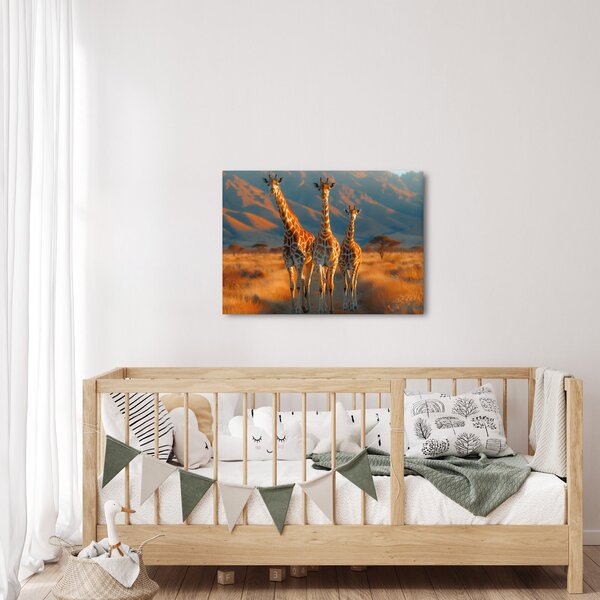 Obraz - Žirafy na pastvine (70x50 cm)