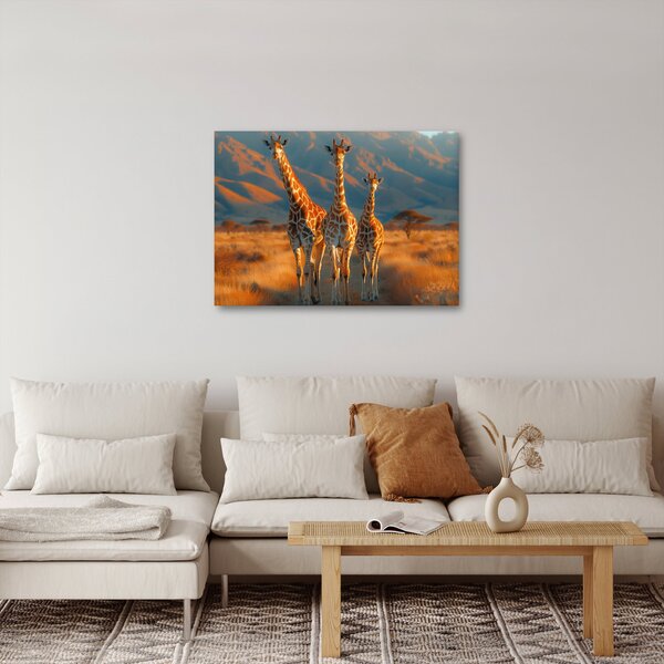 Obraz - Žirafy na pastvine (70x50 cm)