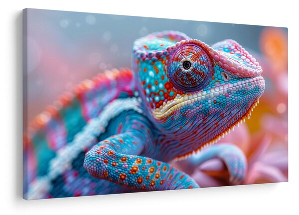 Obraz - Sfarbený chameleón (90x60 cm)