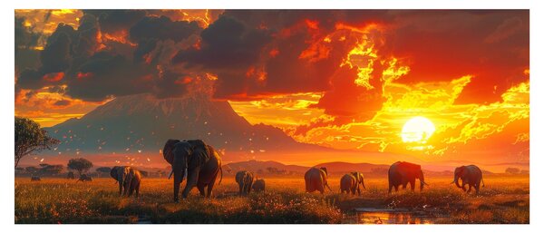 Obraz - Stádo slonov (120x50 cm)