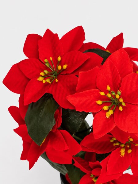 Sinsay - DECORATIVE PLANT - viacfarebná
