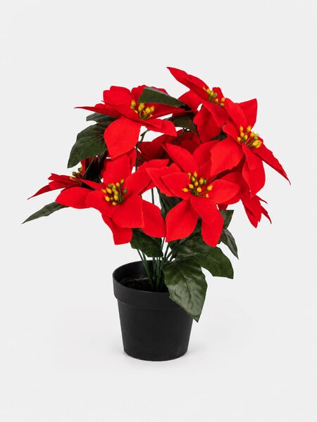 Sinsay - DECORATIVE PLANT - viacfarebná