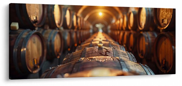 Obraz - Vínna pivnica (120x50 cm)