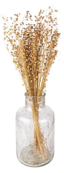 Béžová kytica sušený ľan - 60 cm (100 gr) - Clayre & Eef