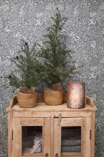 Zelený vianočný borovicový stromček v kvetináči so svetielkami Pine Tree - 120 cm - Chic Antique