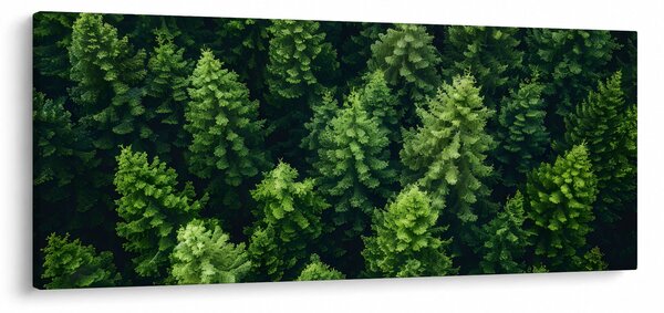 Obraz - Les (120x50 cm)