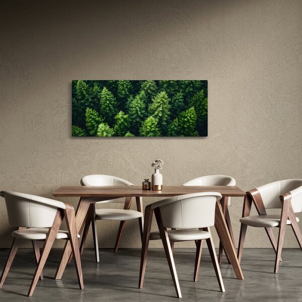 Obraz - Les (120x50 cm)
