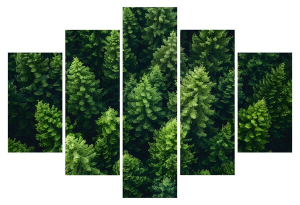 Obraz - Les (150x105 cm)