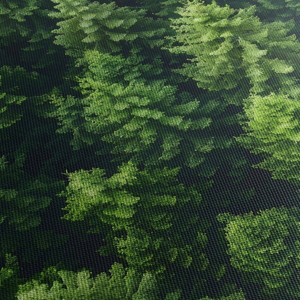 Obraz - Les (90x60 cm)