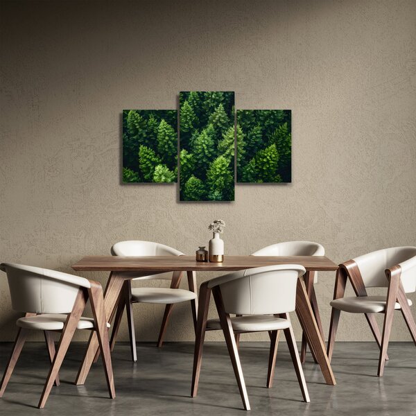Obraz - Les (90x60 cm)