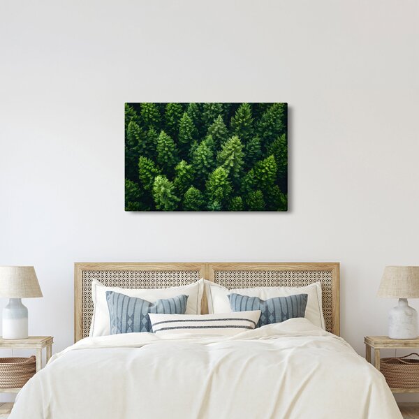 Obraz - Les (90x60 cm)