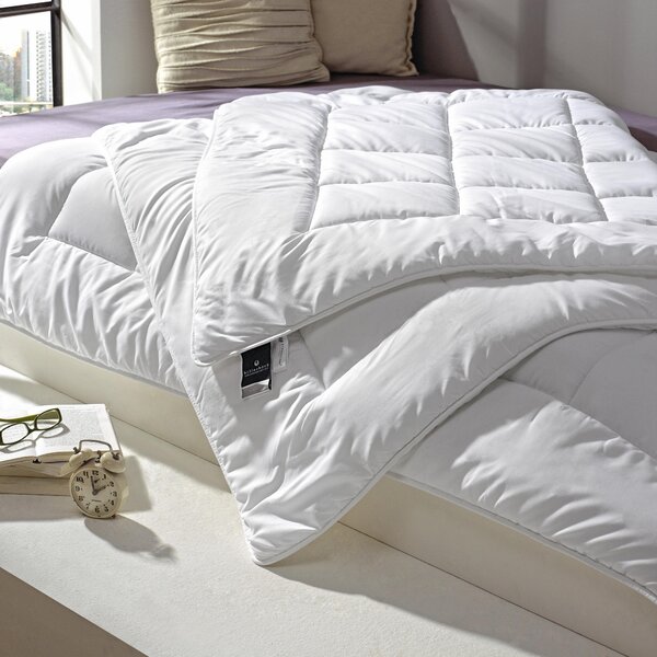 CELOROČNÁ PRIKRÝVKA, 200/200 cm, polyester Billerbeck - Prikrývky & vankúše