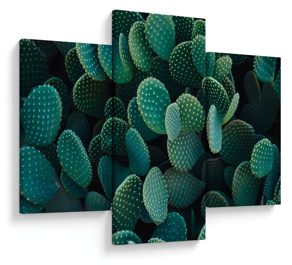 Obraz - Opuncie (90x60 cm)
