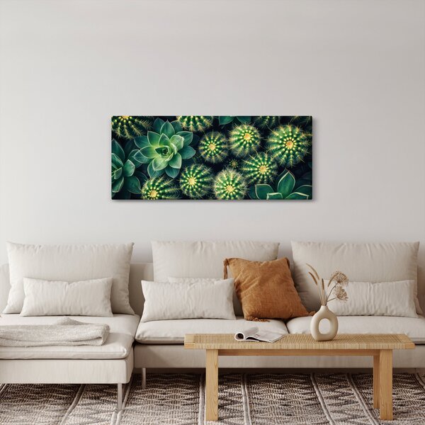 Obraz - Kaktusy (120x50 cm)
