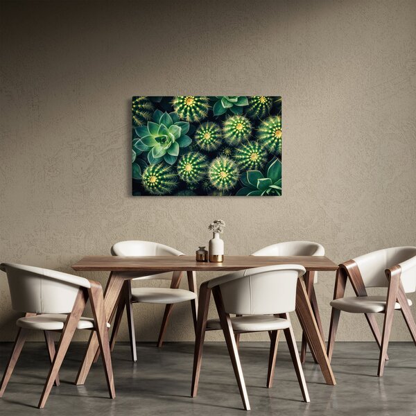 Obraz - Kaktusy (90x60 cm)