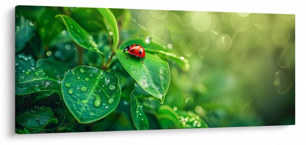 Obraz - Lienka (120x50 cm)