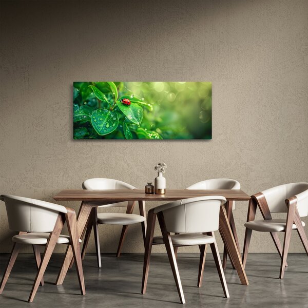 Obraz - Lienka (120x50 cm)
