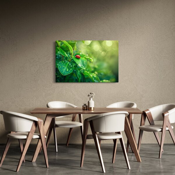 Obraz - Lienka (90x60 cm)