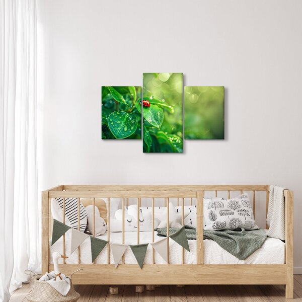 Obraz - Lienka (90x60 cm)