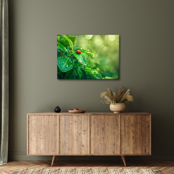 Obraz - Lienka (70x50 cm)