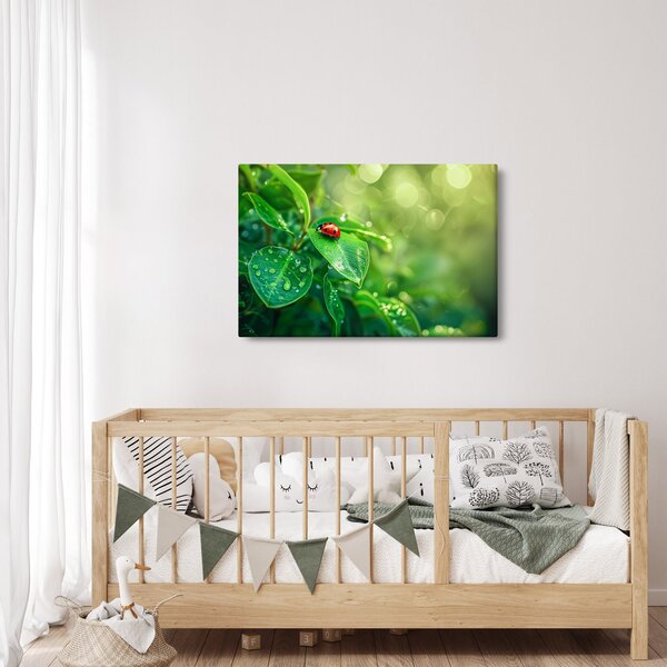 Obraz - Lienka (90x60 cm)
