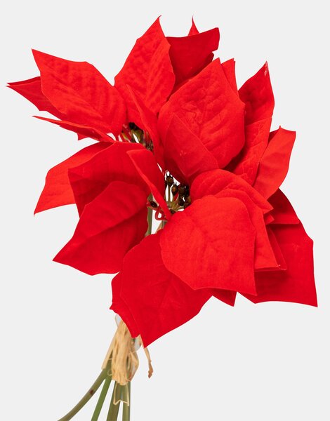 Sinsay - DECORATIVE PLANT - viacfarebná