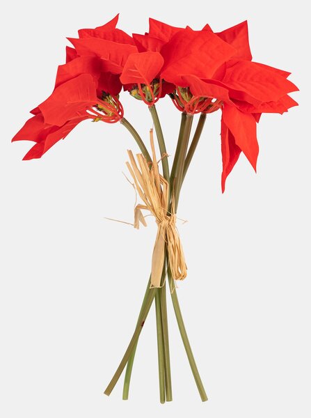 Sinsay - DECORATIVE PLANT - viacfarebná
