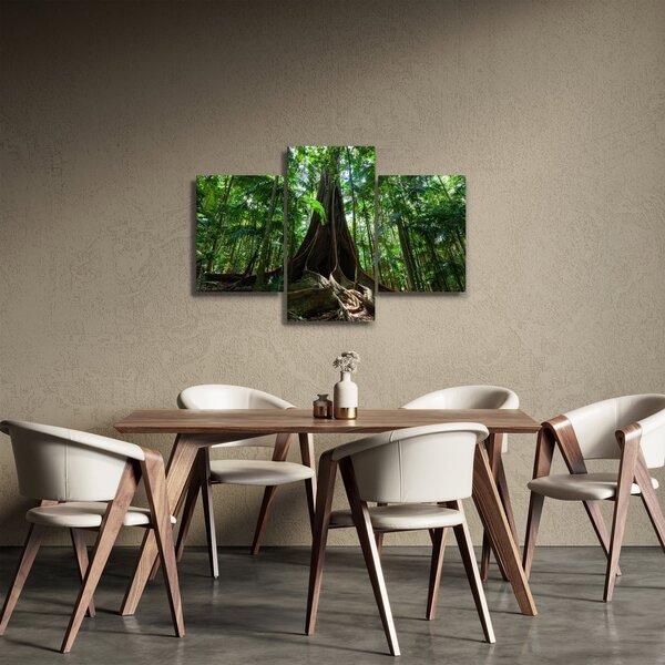 Obraz - Korene stromu (90x60 cm)