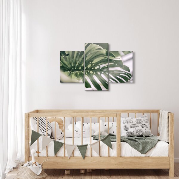Obraz - List monštier (90x60 cm)