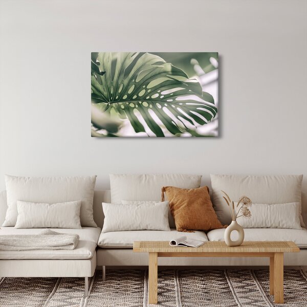Obraz - List monštier (90x60 cm)
