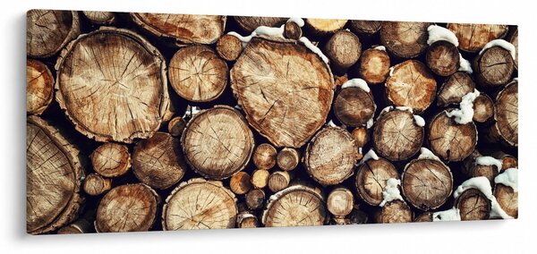 Obraz - Drevo v snehu (120x50 cm)