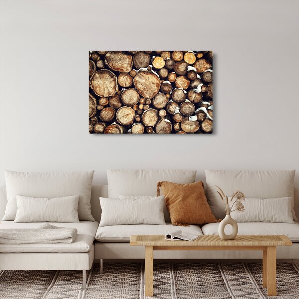 Obraz - Drevo v snehu (90x60 cm)
