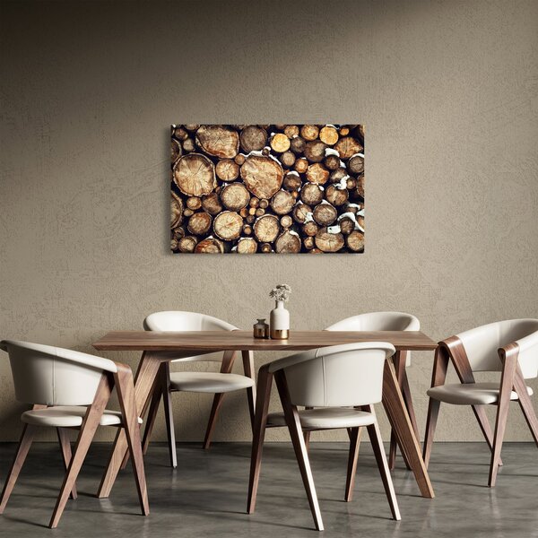 Obraz - Drevo v snehu (90x60 cm)