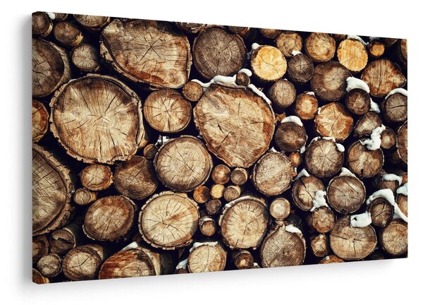 Obraz - Drevo v snehu (90x60 cm)
