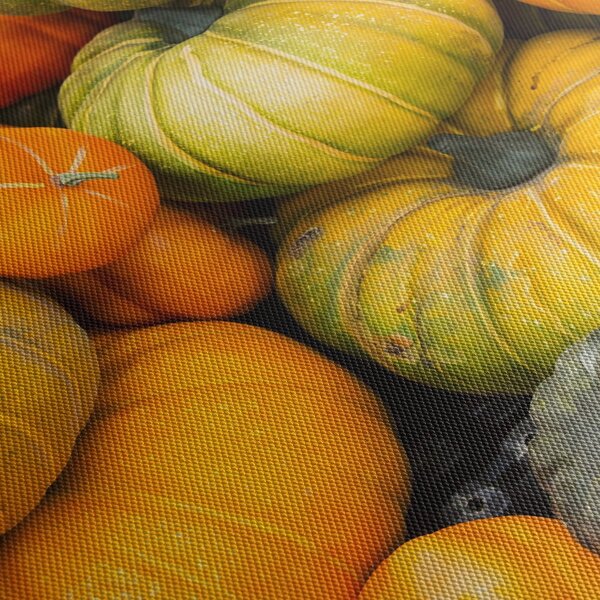 Obraz - Jesenná tekvica (90x60 cm)