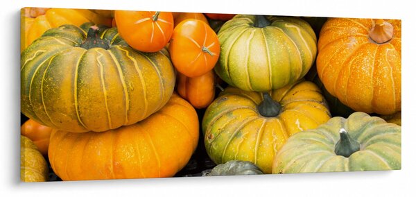 Obraz - Jesenná tekvica (120x50 cm)