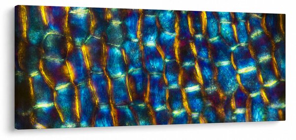 Obraz - Bunková stena (120x50 cm)