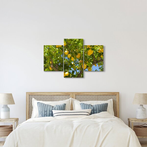 Obraz - Citrónovník (90x60 cm)