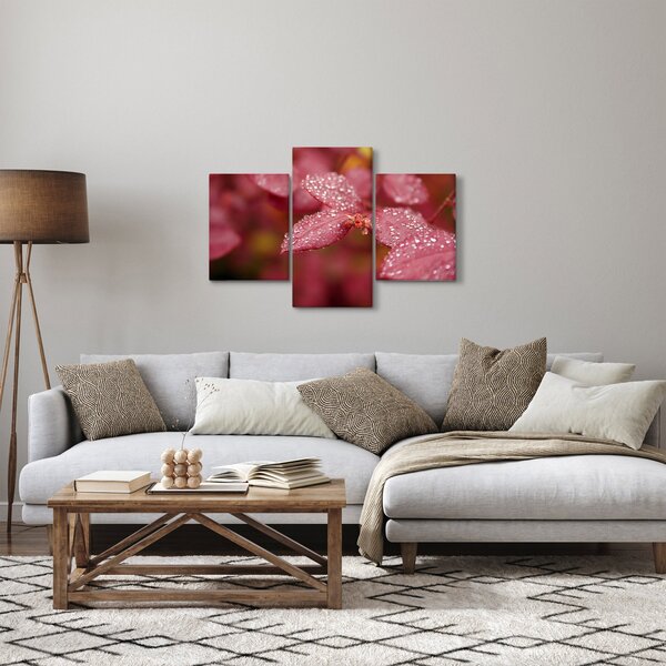 Obraz - Makro snímka lístka (90x60 cm)