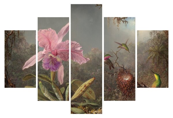 Obraz - Martin Johnson Heade, Cattleya Orchid and Three Hummingbirds, reprodukcia (150x105 cm)