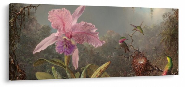 Obraz - Martin Johnson Heade, Cattleya Orchid and Three Hummingbirds, reprodukcia (120x50 cm)