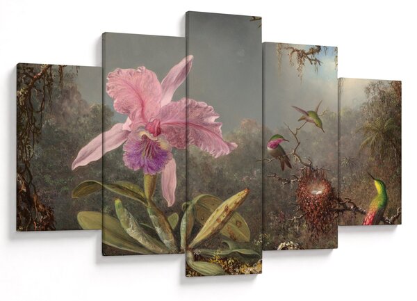 Obraz - Martin Johnson Heade, Cattleya Orchid and Three Hummingbirds, reprodukcia (150x105 cm)