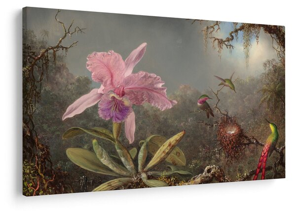 Obraz - Martin Johnson Heade, Cattleya Orchid and Three Hummingbirds, reprodukcia (90x60 cm)