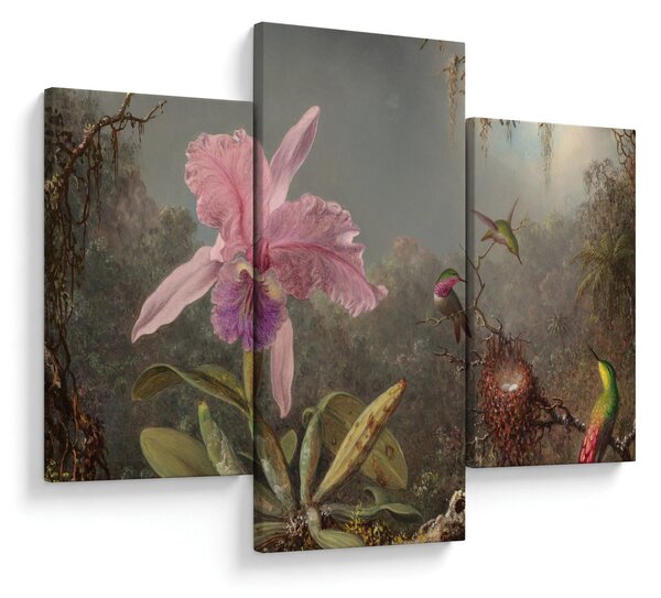Obraz - Martin Johnson Heade, Cattleya Orchid and Three Hummingbirds, reprodukcia (90x60 cm)