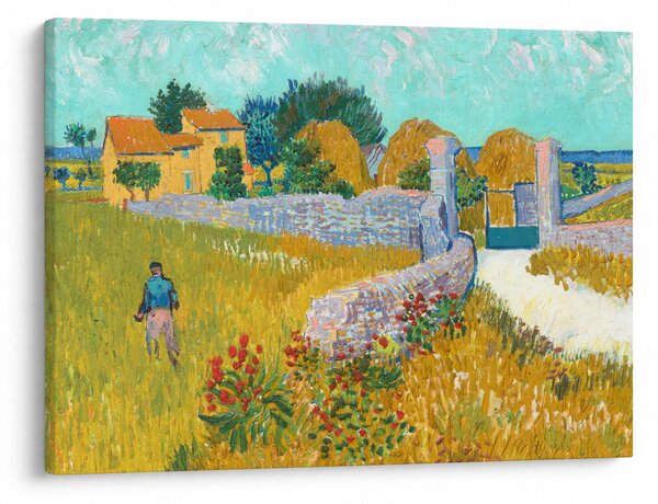 Obraz - Vincent van Gogh, Farmhouse in Provence, reprodukcia (70x50 cm)